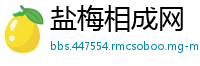 盐梅相成网